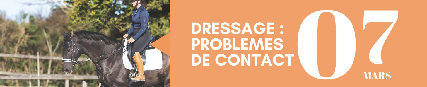 Dressage : problèmes de contact