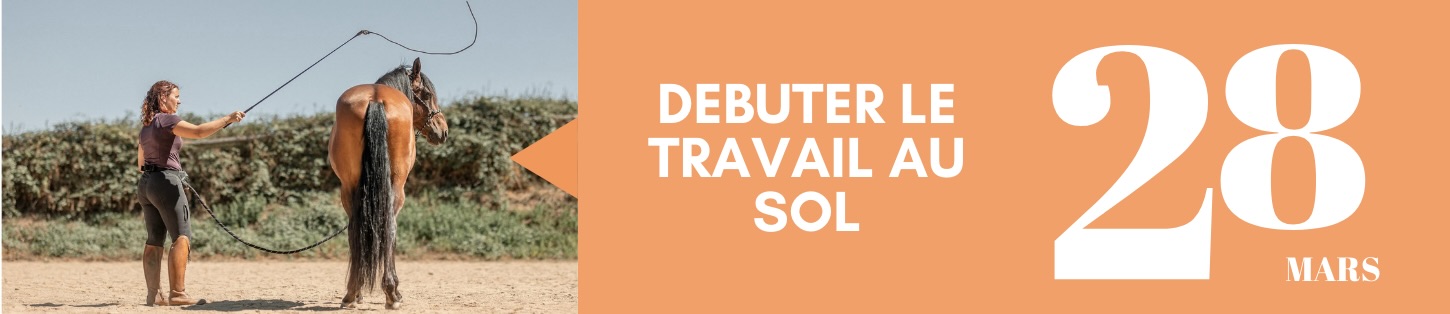 Débuter le travail au sol