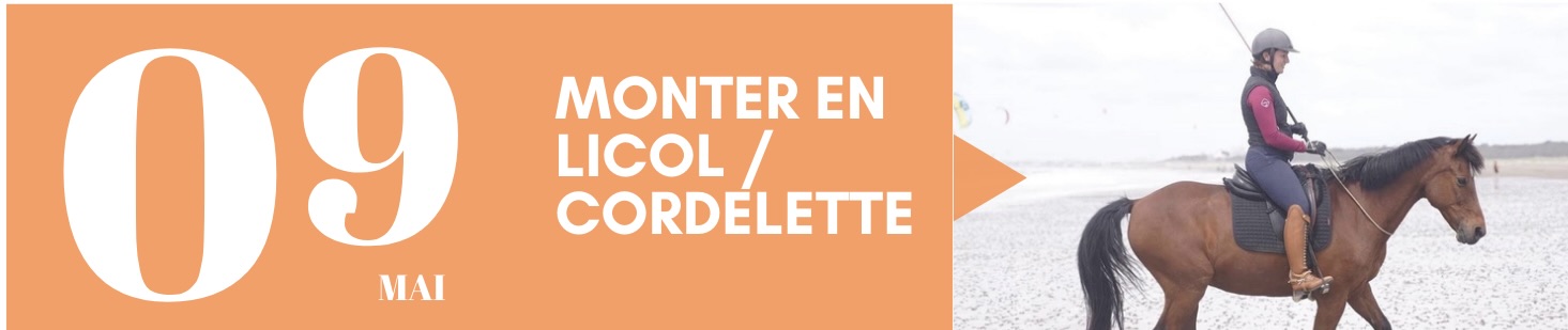 Monter en licol/cordelette