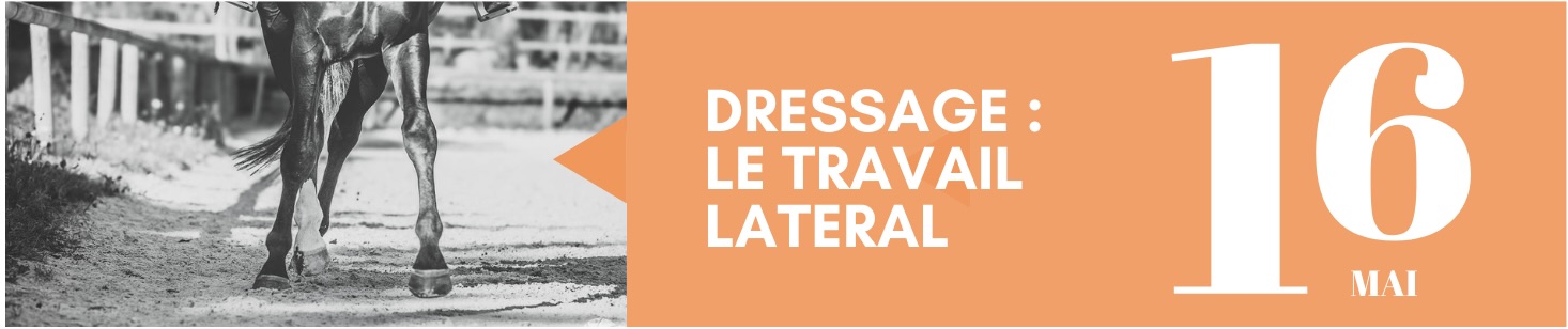 Dressage : le travail latéral