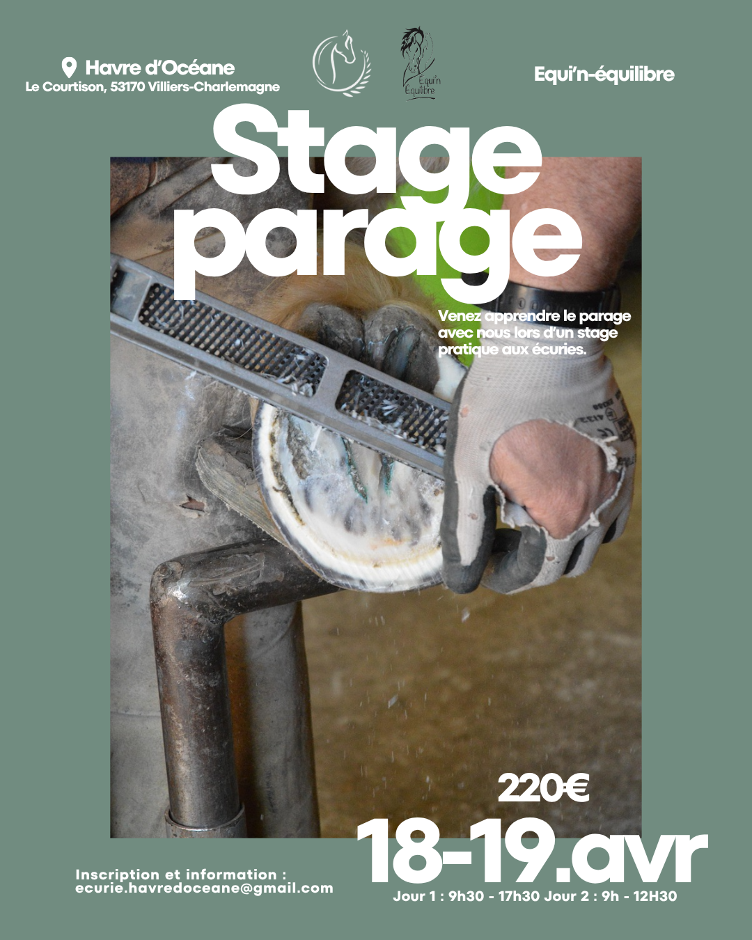Stage de parage physiologique avec Equi’n Équilibre