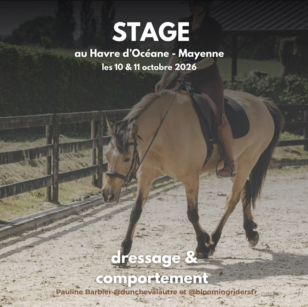 Stage Pauline Barbier