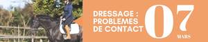 Dressage : problèmes de contact
