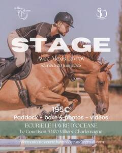Stage Alexis Lavrov