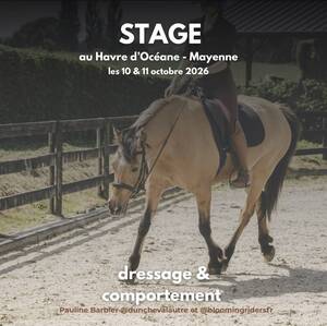 Stage Pauline Barbier